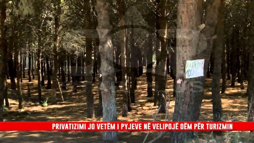 Kronike e realizuar nga Star Plus Shkoder